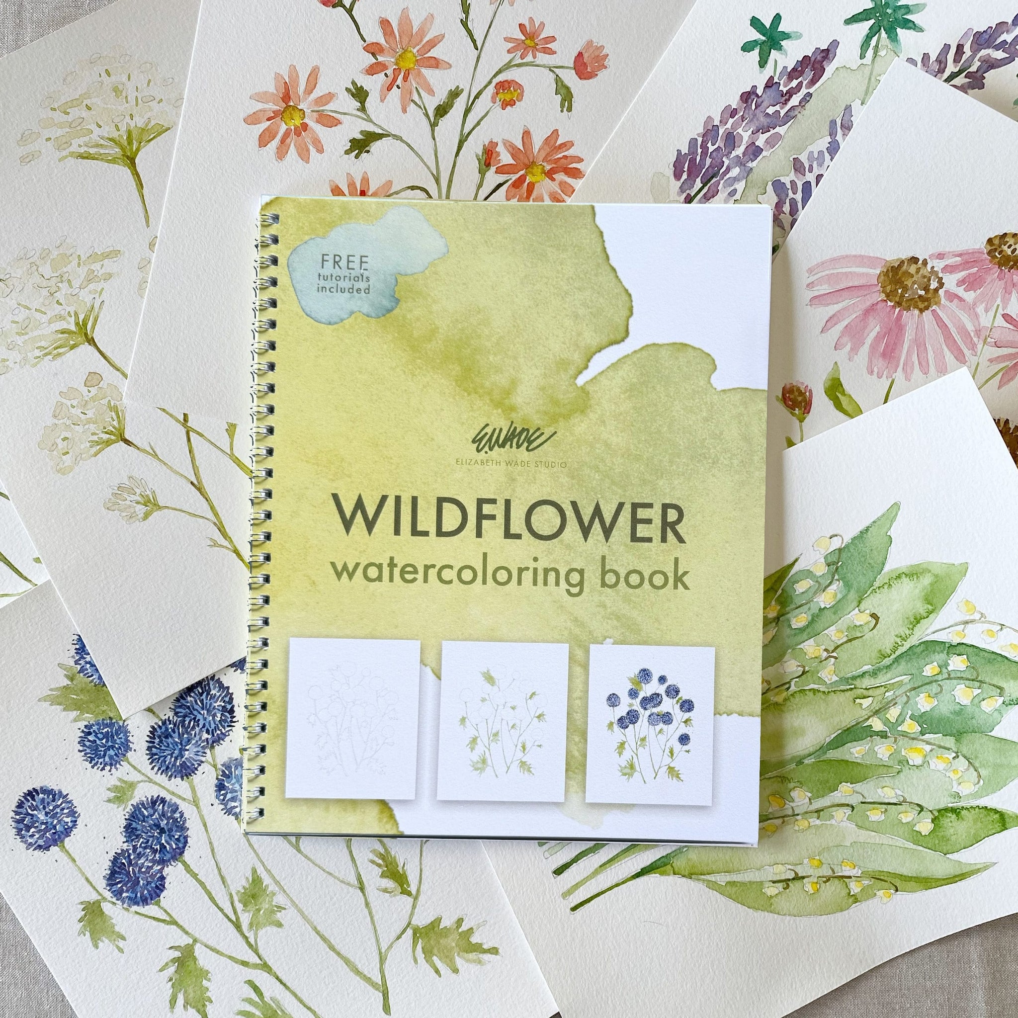 海外購入 洋書 Wildflowers in Watercolour＊インテリア Watercoloring Book: Wildflowers