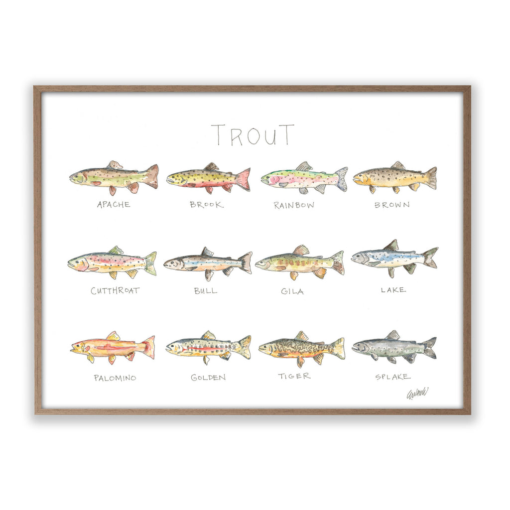 Trout-Frame-FRONT_edited.jpg