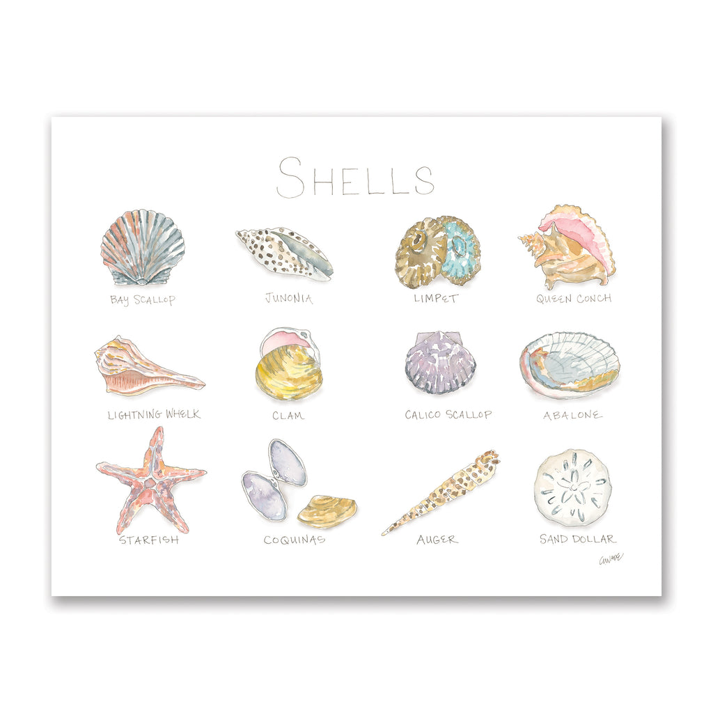 Shells-11x14-product.jpg