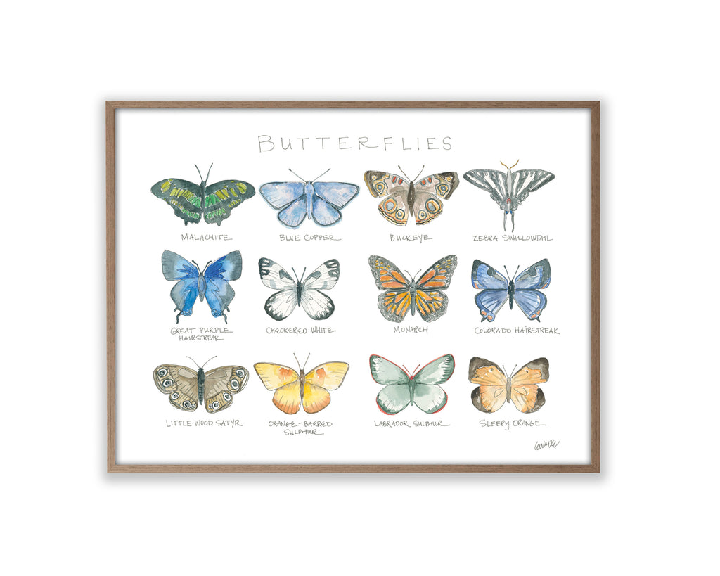 Butterflies-PRODUCT.jpg